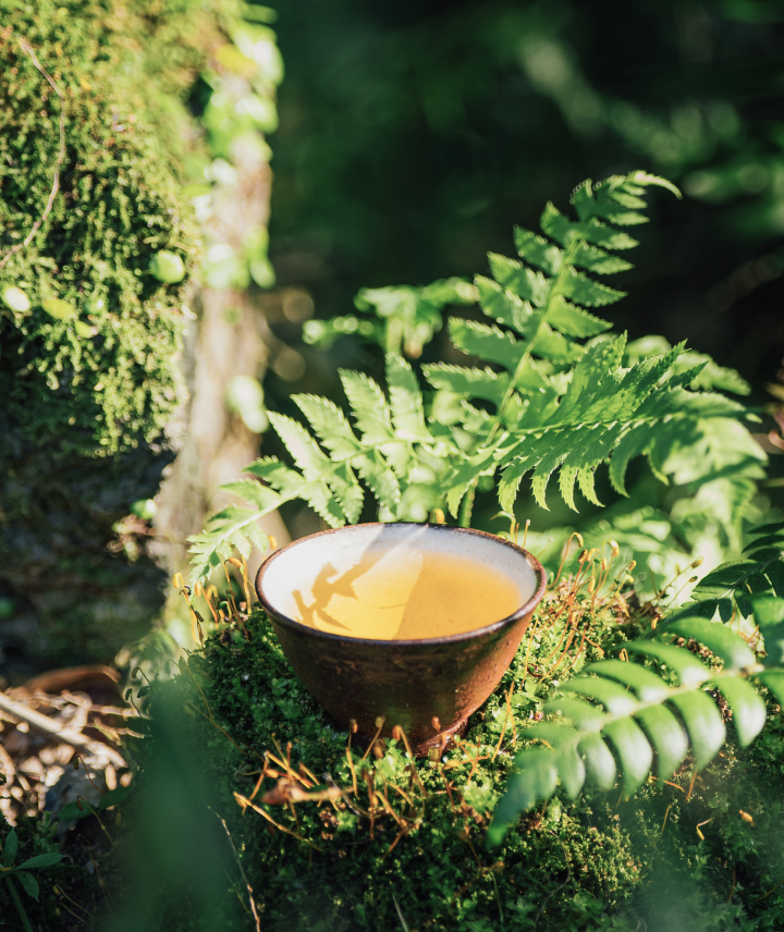 오설록 브랜드 소개 사진